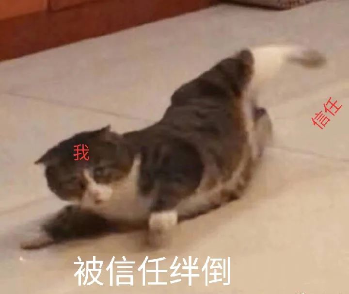 DƬ